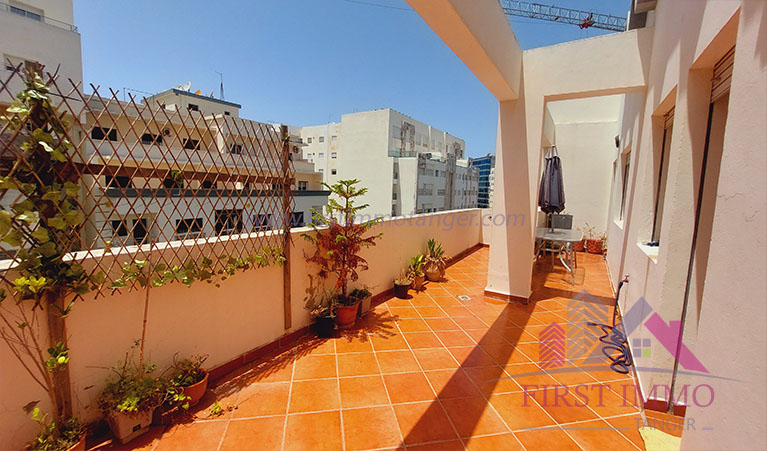 SPACIOUS FURNISHED APARTMENT WITH TERRACE TO RENT (rented)